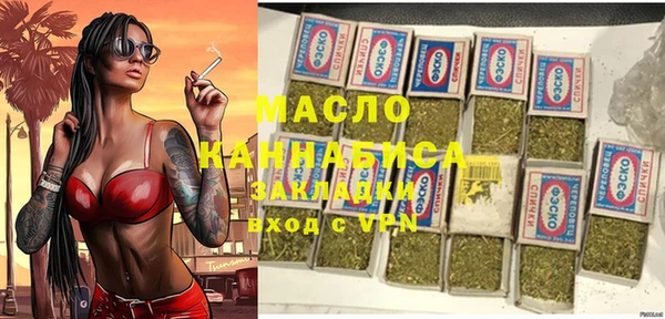 индика Аркадак