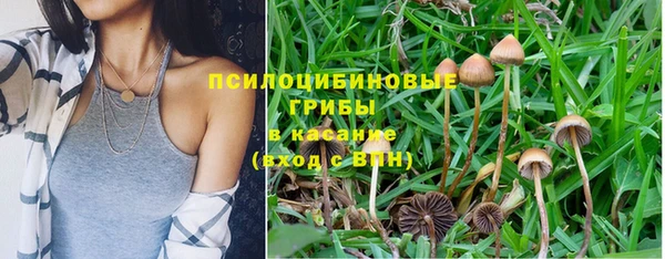 индика Аркадак