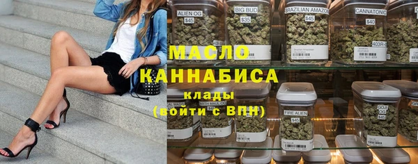 индика Аркадак