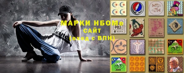 индика Аркадак