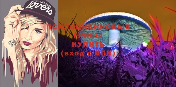 индика Аркадак