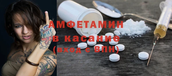 индика Аркадак