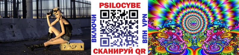 Псилоцибиновые грибы Psilocybine cubensis  Славянск-на-Кубани 